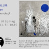 Innbydelse Galleri Briskeby